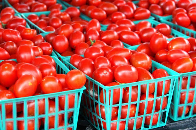Tomatoes