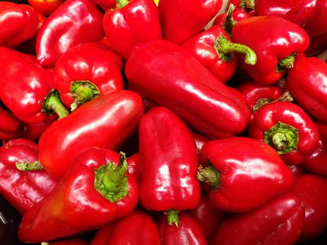 Capsicum annuum(tatashe)