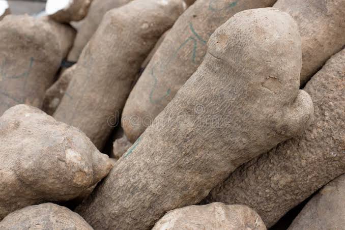Yam