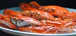 sea foods